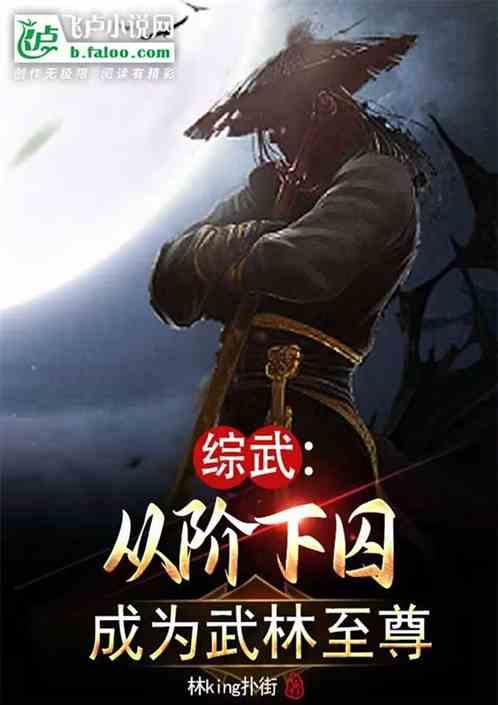 综武从阶下囚成为武林至尊