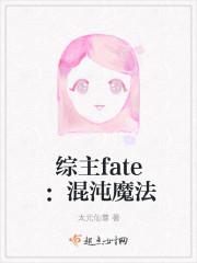 综主fate：混沌魔法