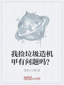 我捡垃圾造机甲有问题吗？