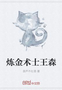 炼金术士王森