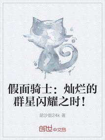 假面骑士：灿烂的群星闪耀之时！